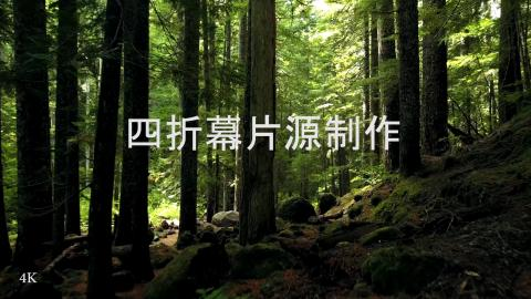 image-20250930160407529